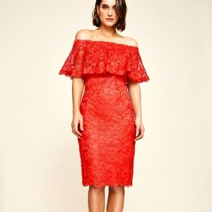 Alba Lace Flounce Dress 🪞